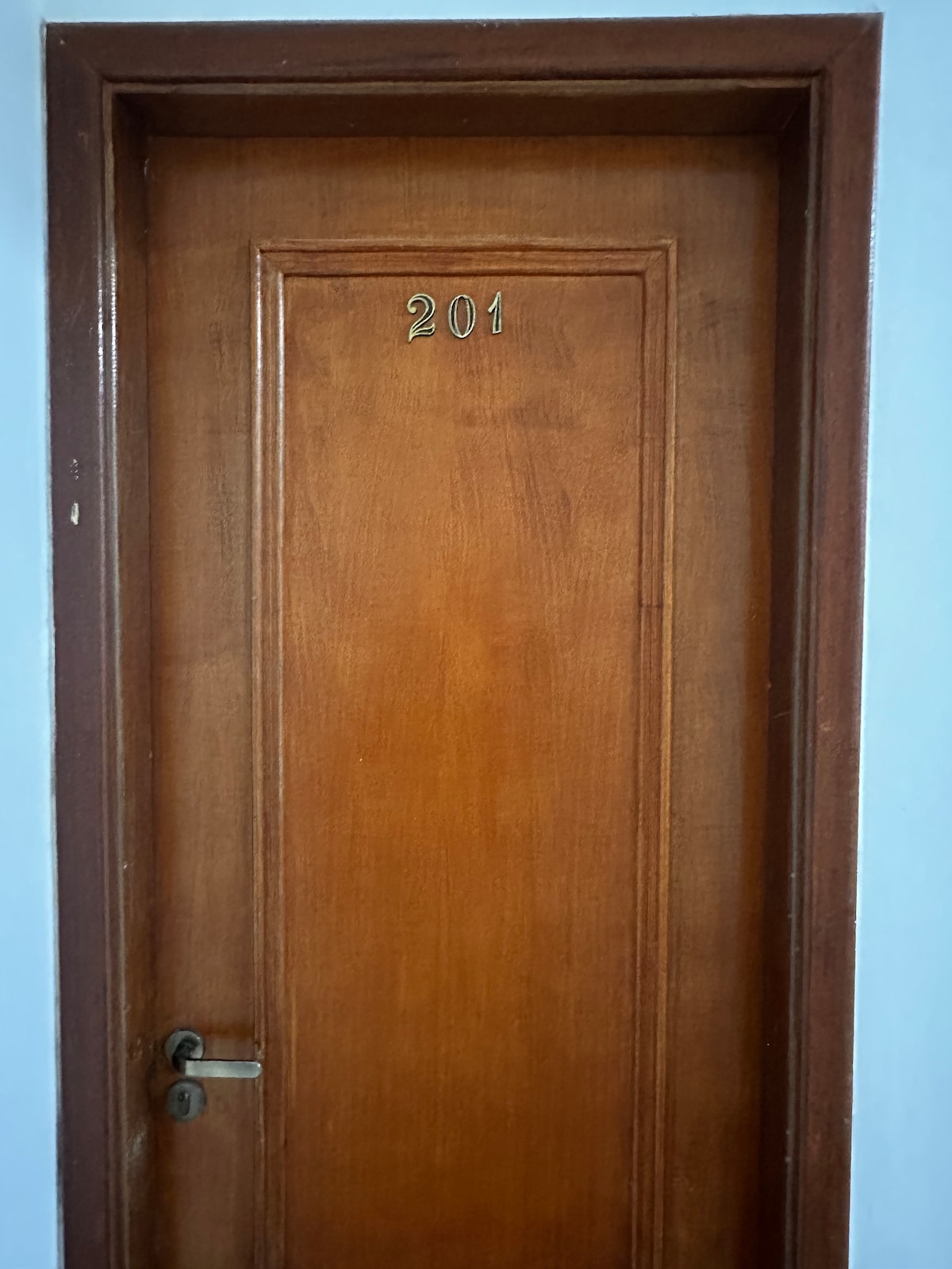 A wooden door with a smooth surface features the number '201' prominently displayed at the top. The door is framed with a simple brown border, and a sleek handle is visible at the bottom.