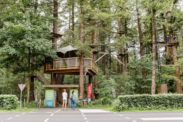 Forest Cottage Sauna And Privacy In The Veluwe - Putten