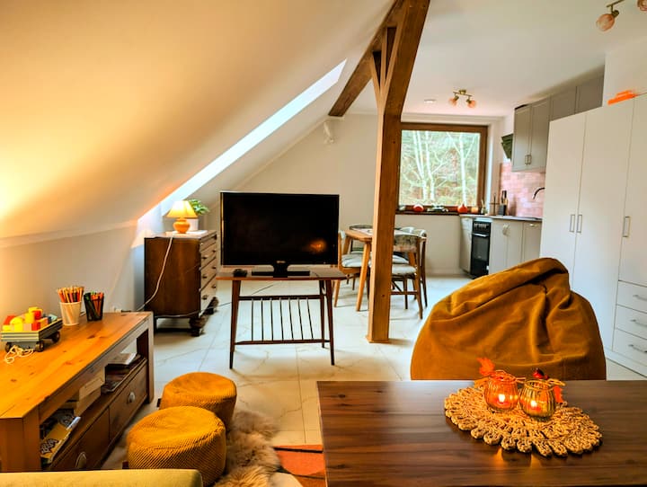 Apartament Nad Jeziorem Z Sauną I Balią - Polonia