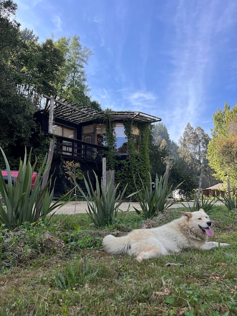 eco bungalow, steps from the river, great location