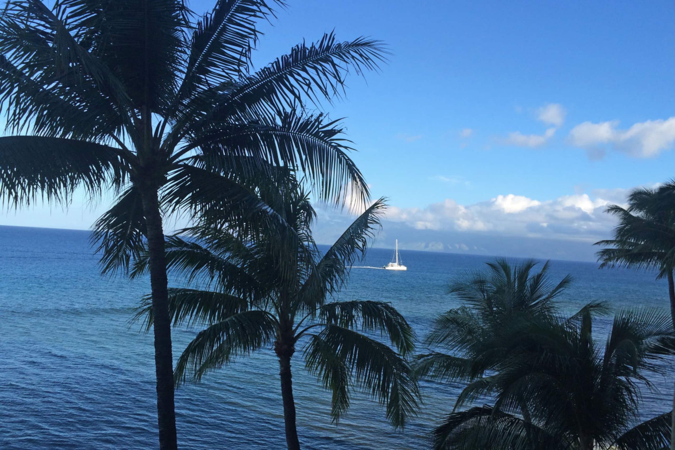 Condo in Lahaina · ★4.97 · 1 bedroom · 2 beds · 1 bath - Image 24