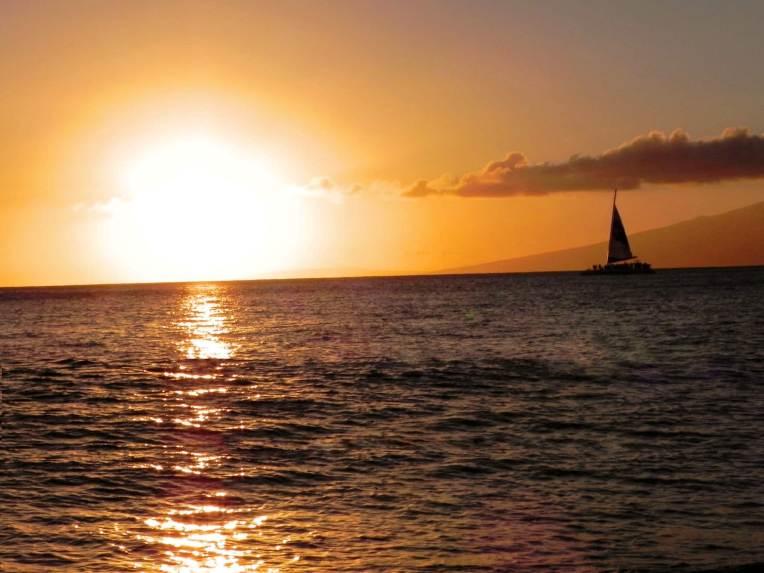 Condo in Lahaina · ★4.97 · 1 bedroom · 2 beds · 1 bath - Image 42