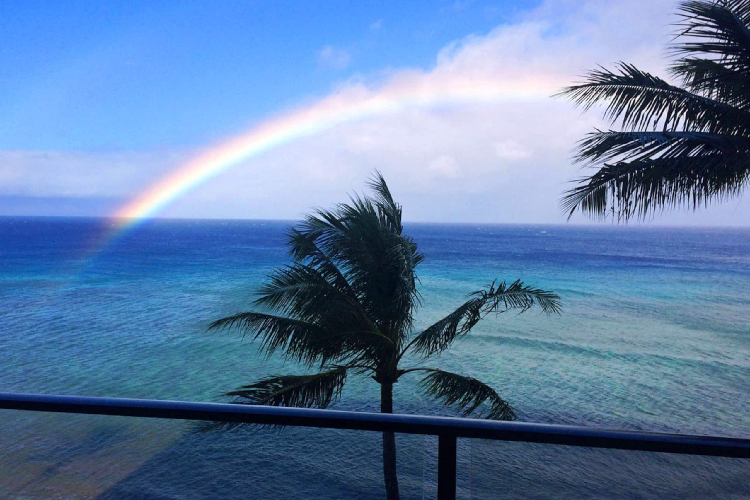 Condo in Lahaina · ★4.97 · 1 bedroom · 2 beds · 1 bath - Image 25