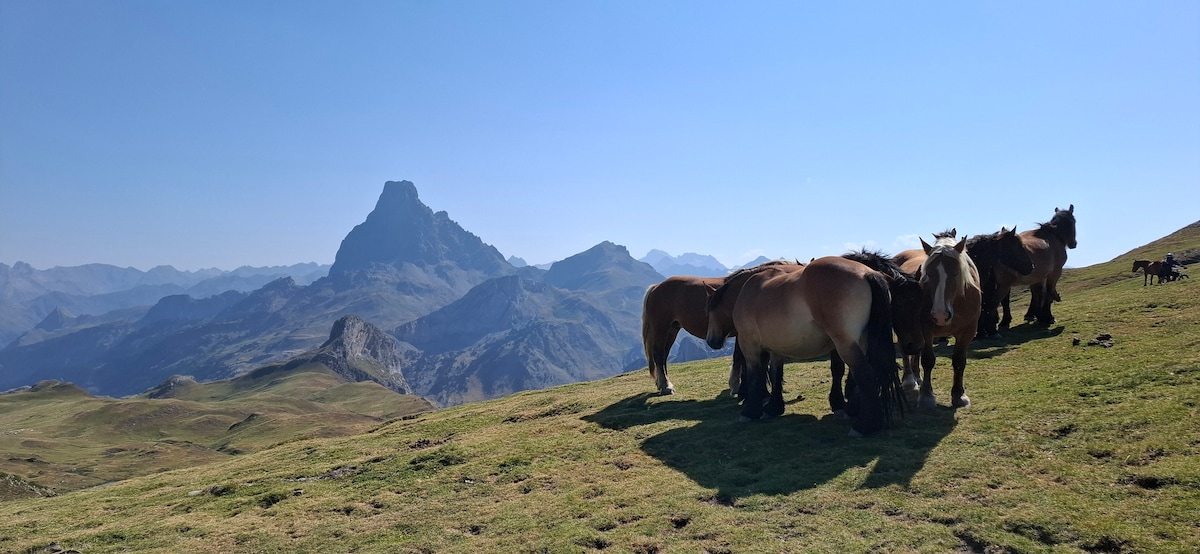 A scenic landscape features a group of horses grazing on grassy hills, with a mountain range visible in the background. Clear skies enhance the view, showcasing the natural beauty of the serene environment.