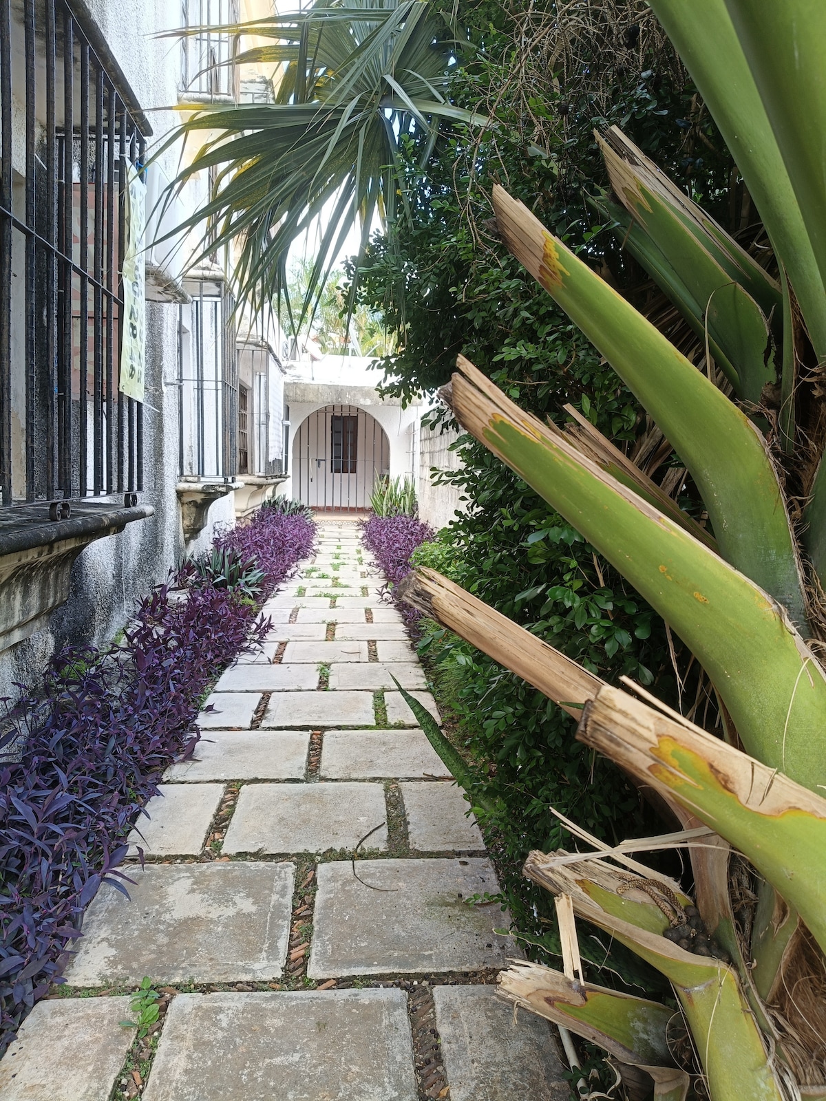 A stone pathway lined with lush greenery and vibrant purple plants leads towards a gracious archway, creating a serene entrance. Tall palm fronds frame the scene, adding to the greenery on either side of the walkway.