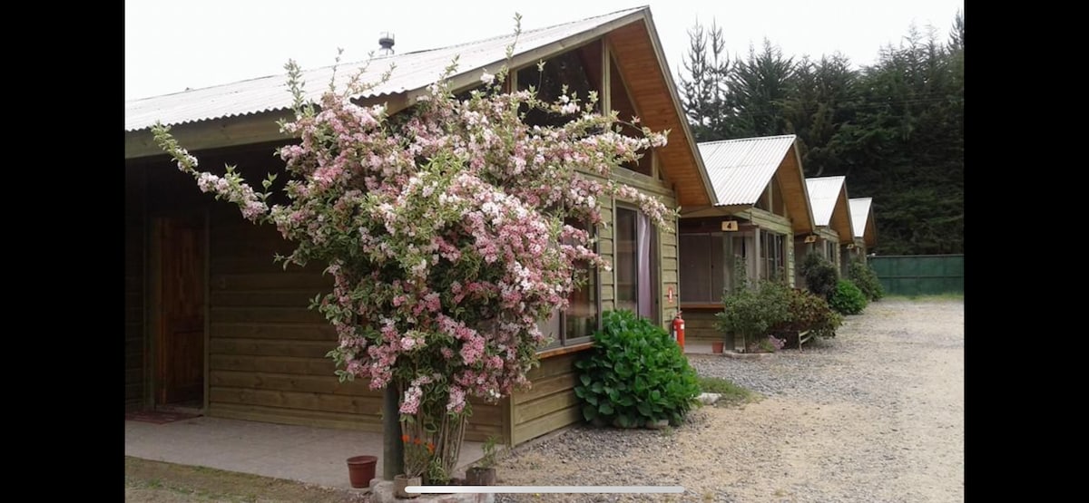 A charming exterior of a wooden accommodation is displayed, featuring blooming pink and white flowers in front. Well-maintained shrubs flank the entryway, while gravel paths lead to multiple units with pitched roofs. Tall trees provide a natural backdrop, enhancing the setting.