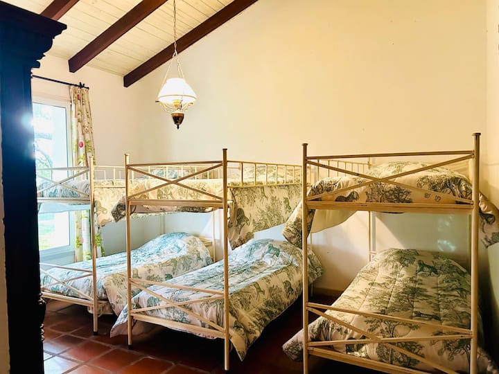 Chambre 5