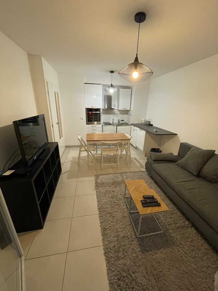 Amazing Flat In Ferney Center - Ferney-Voltaire