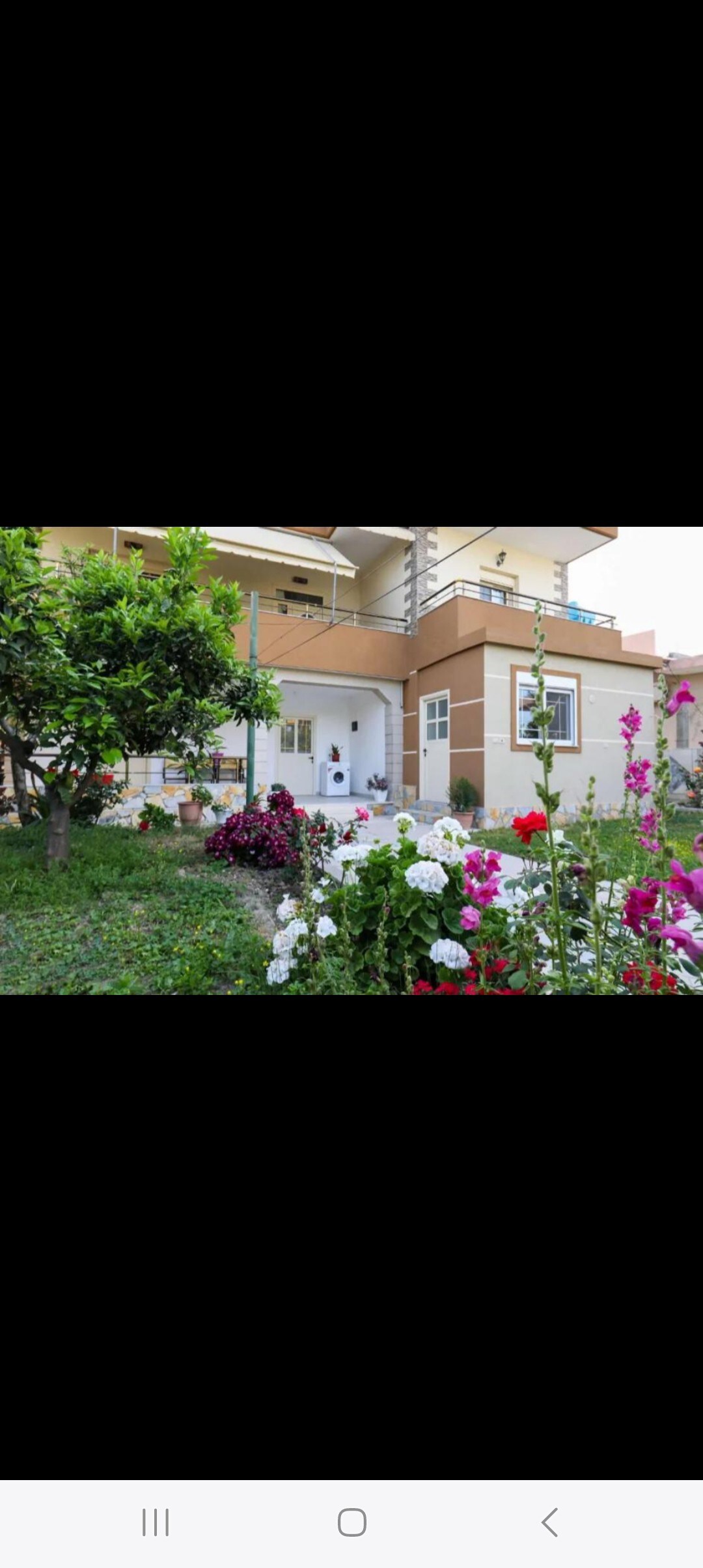 Listing 1255797477469535785