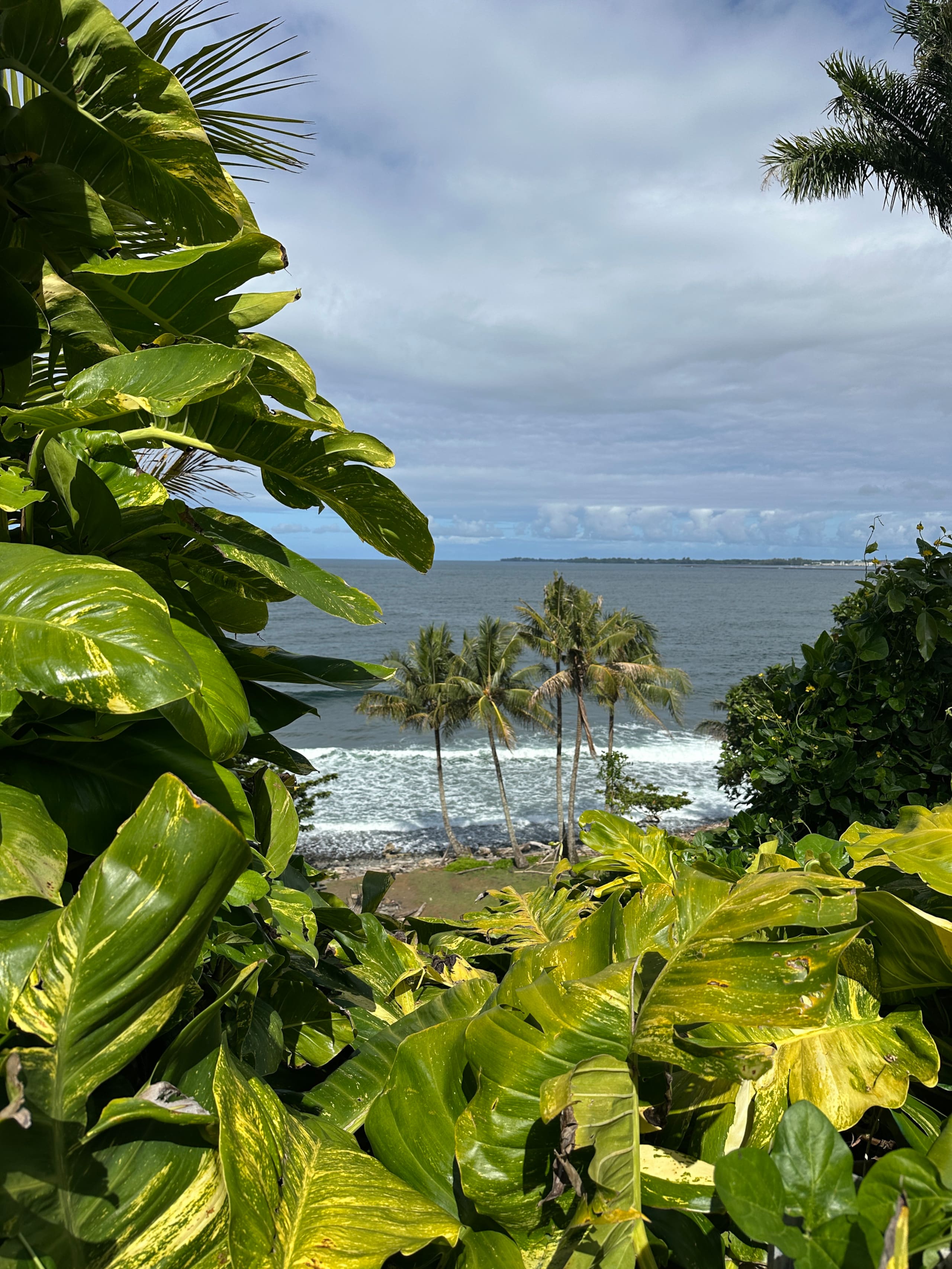 “Banana Cabana”Outdoor Shower, Private Lanai, Pool - Photo 102