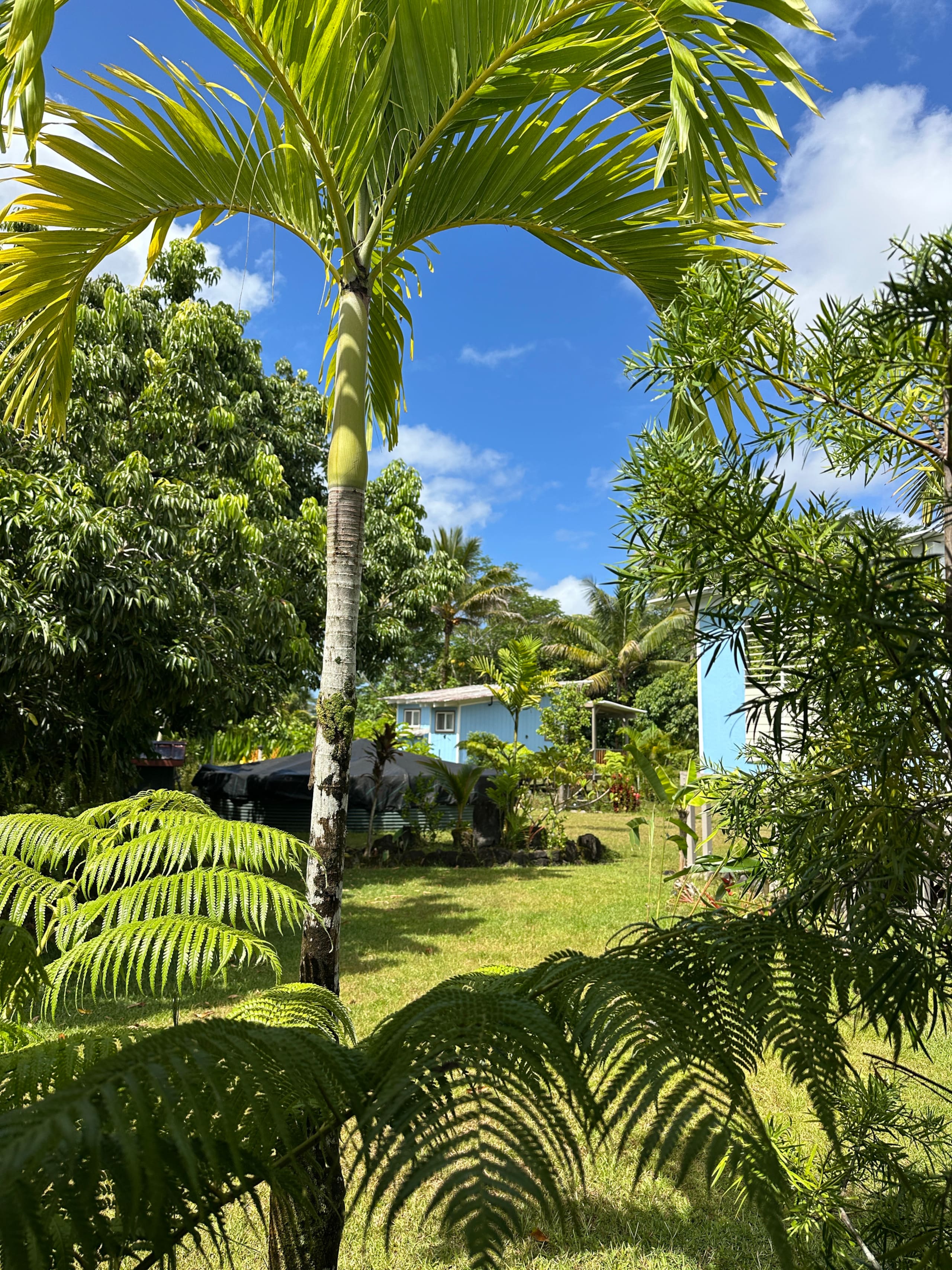 “Banana Cabana”Outdoor Shower, Private Lanai, Pool - Photo 80