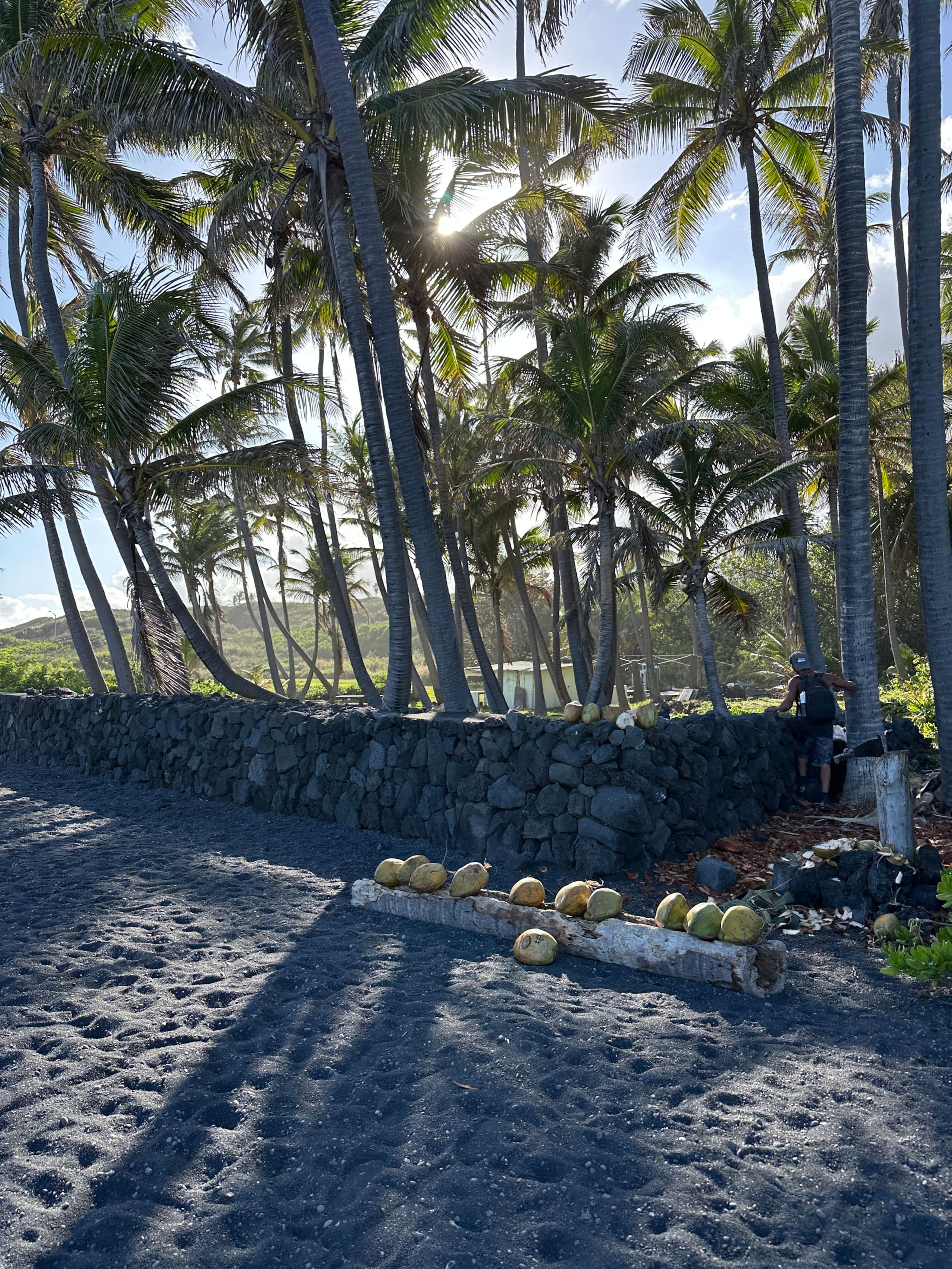 “Banana Cabana”Outdoor Shower, Private Lanai, Pool - Photo 104