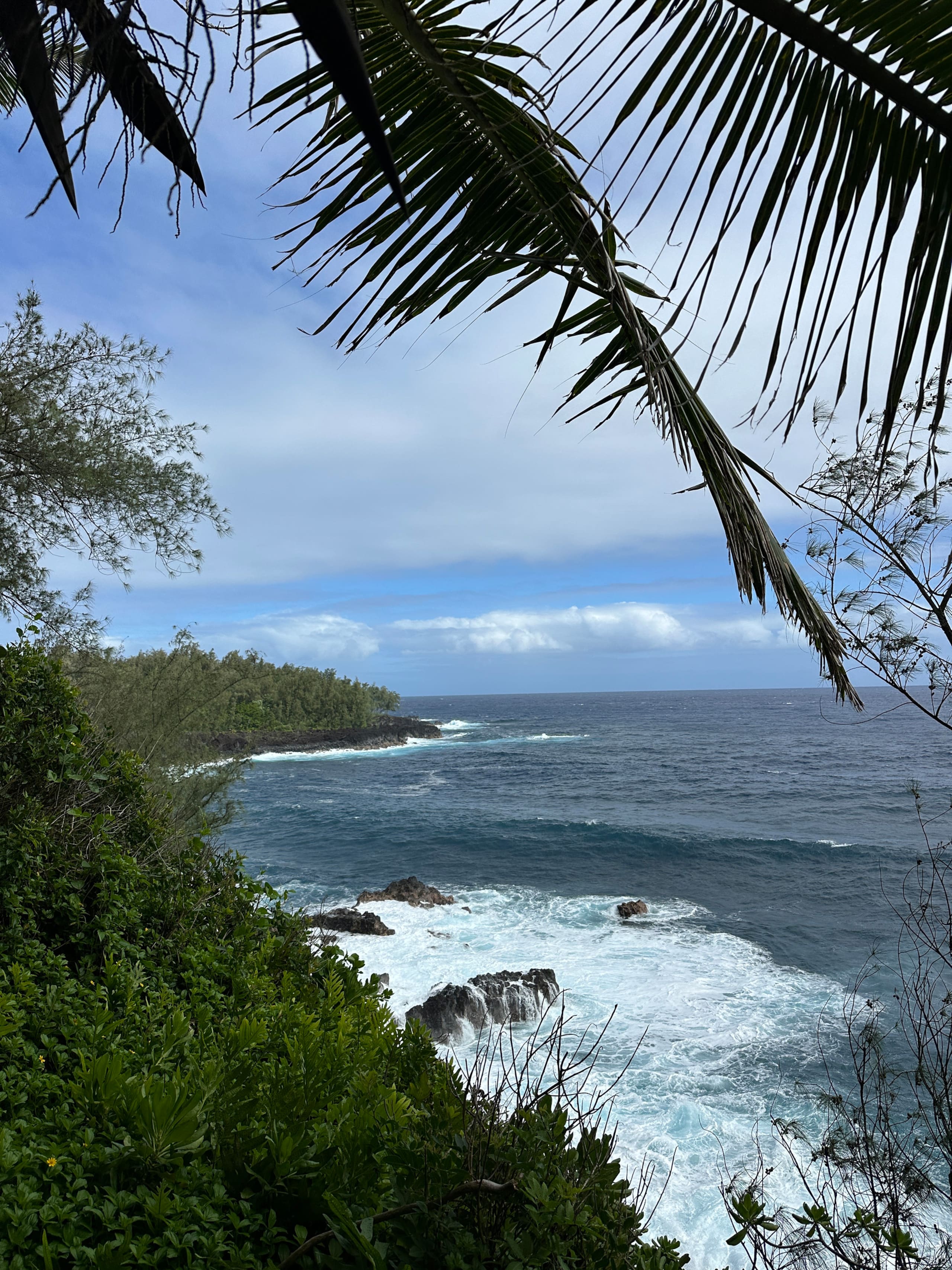 “Banana Cabana”Outdoor Shower, Private Lanai, Pool - Photo 133