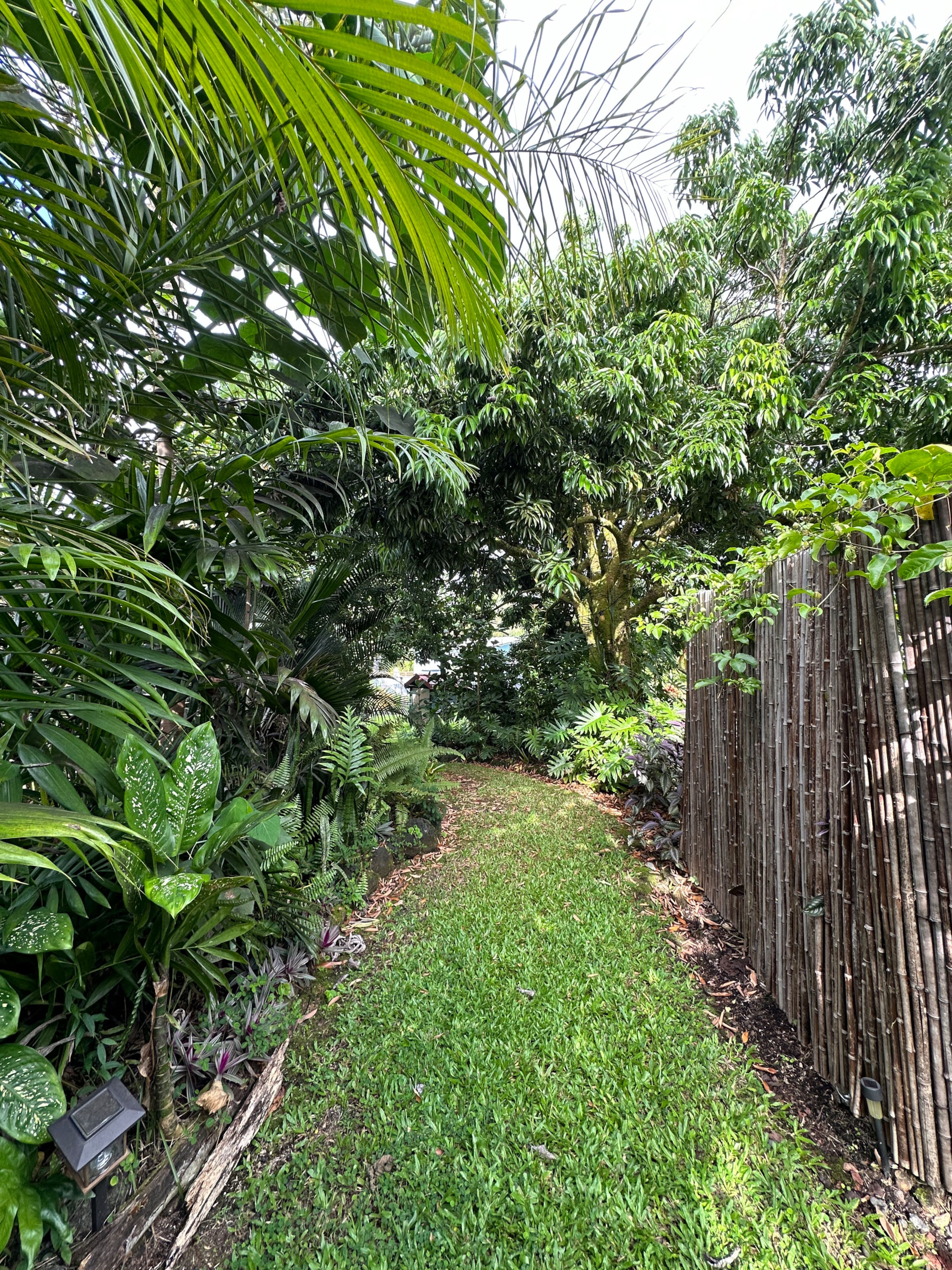 “Banana Cabana”Outdoor Shower, Private Lanai, Pool - Photo 39