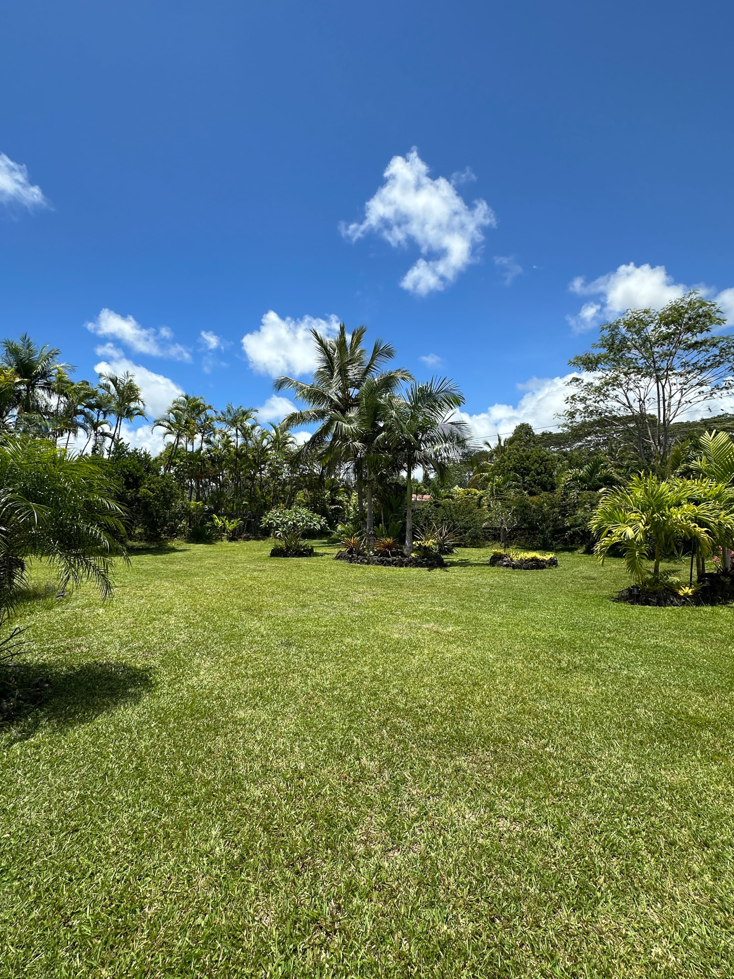 “Banana Cabana”Outdoor Shower, Private Lanai, Pool - Photo 82