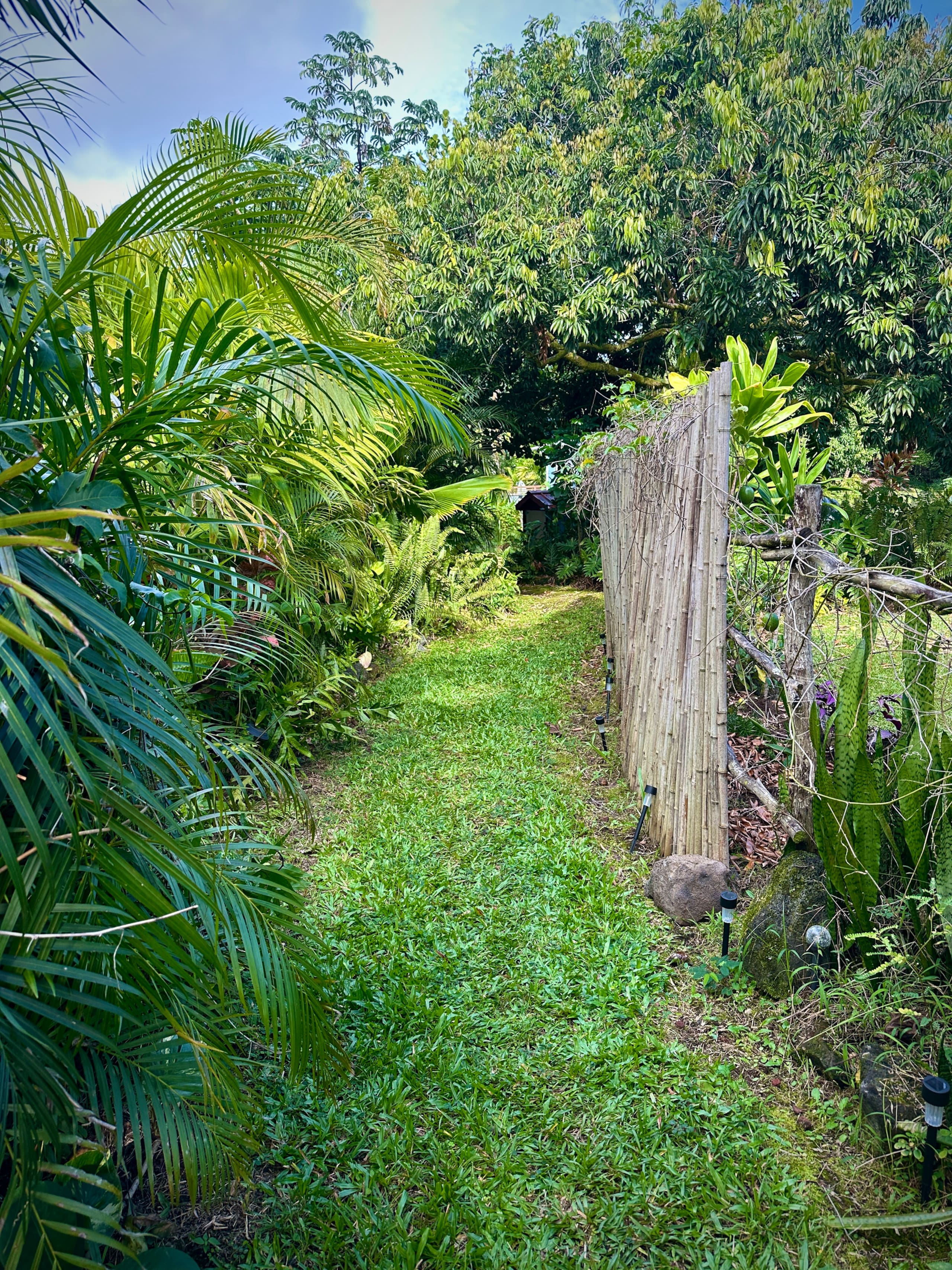 “Banana Cabana”Outdoor Shower, Private Lanai, Pool - Photo 70
