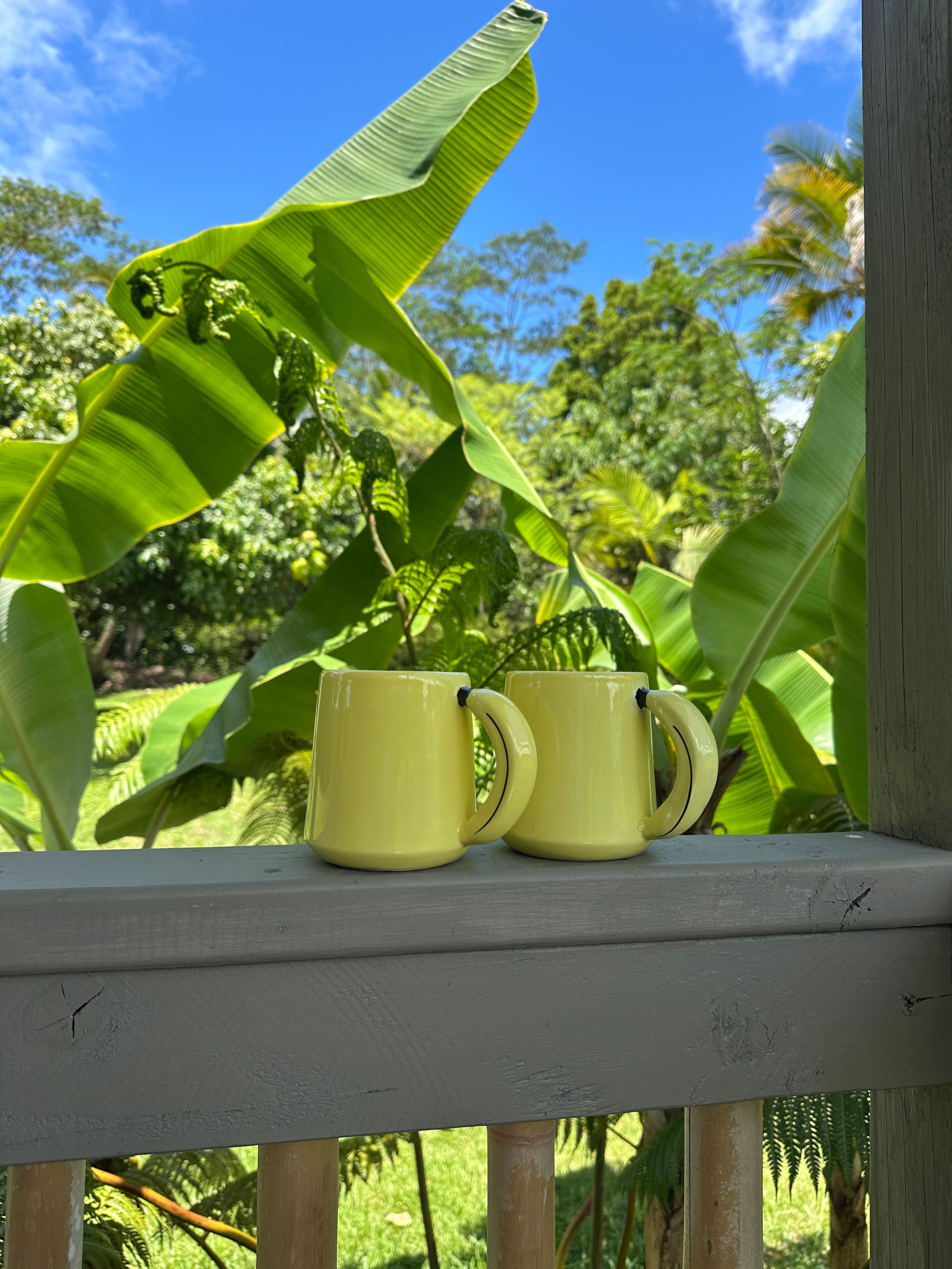 “Banana Cabana”Outdoor Shower, Private Lanai, Pool - Photo 75