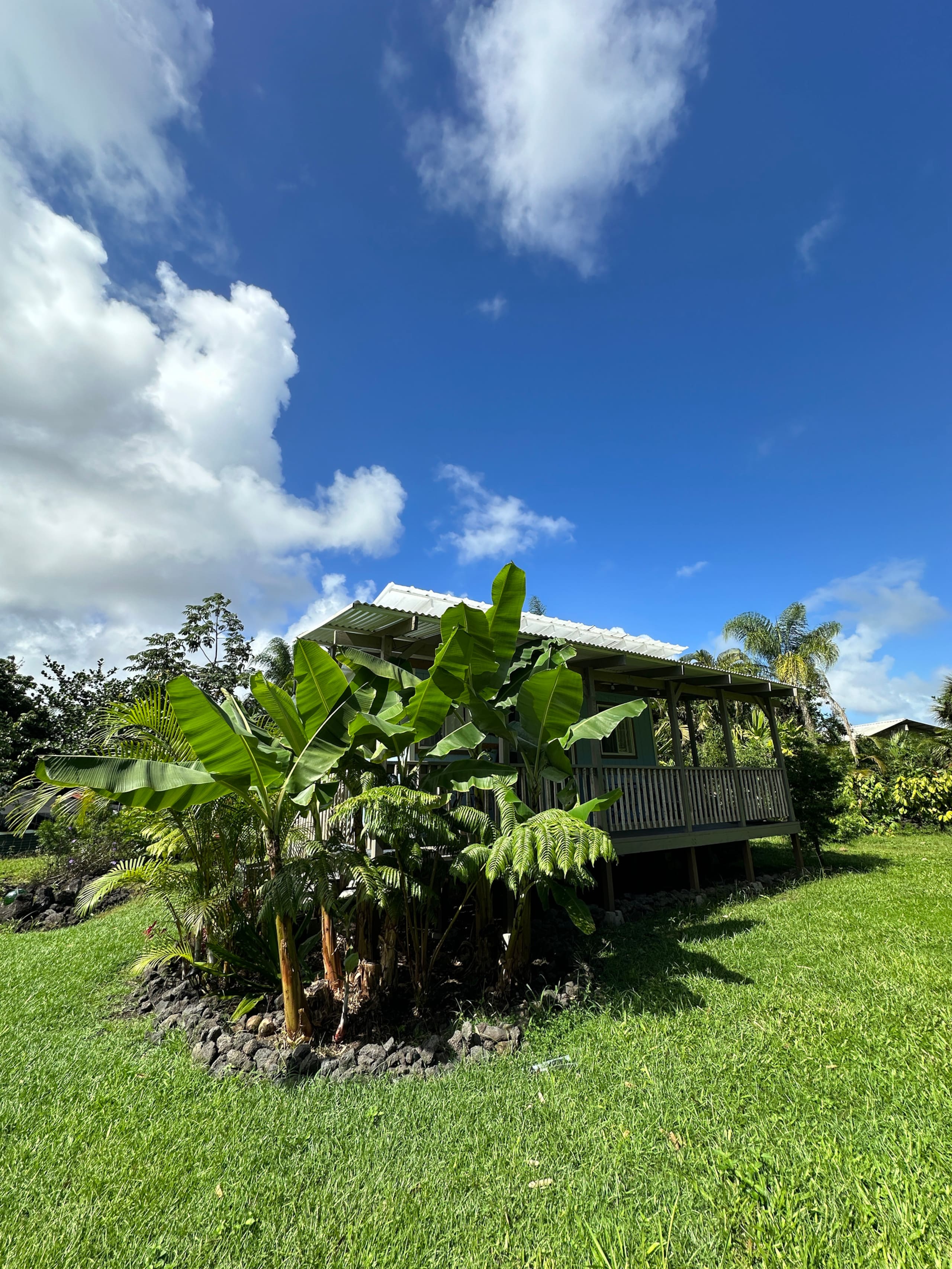 “Banana Cabana”Outdoor Shower, Private Lanai, Pool - Photo 71