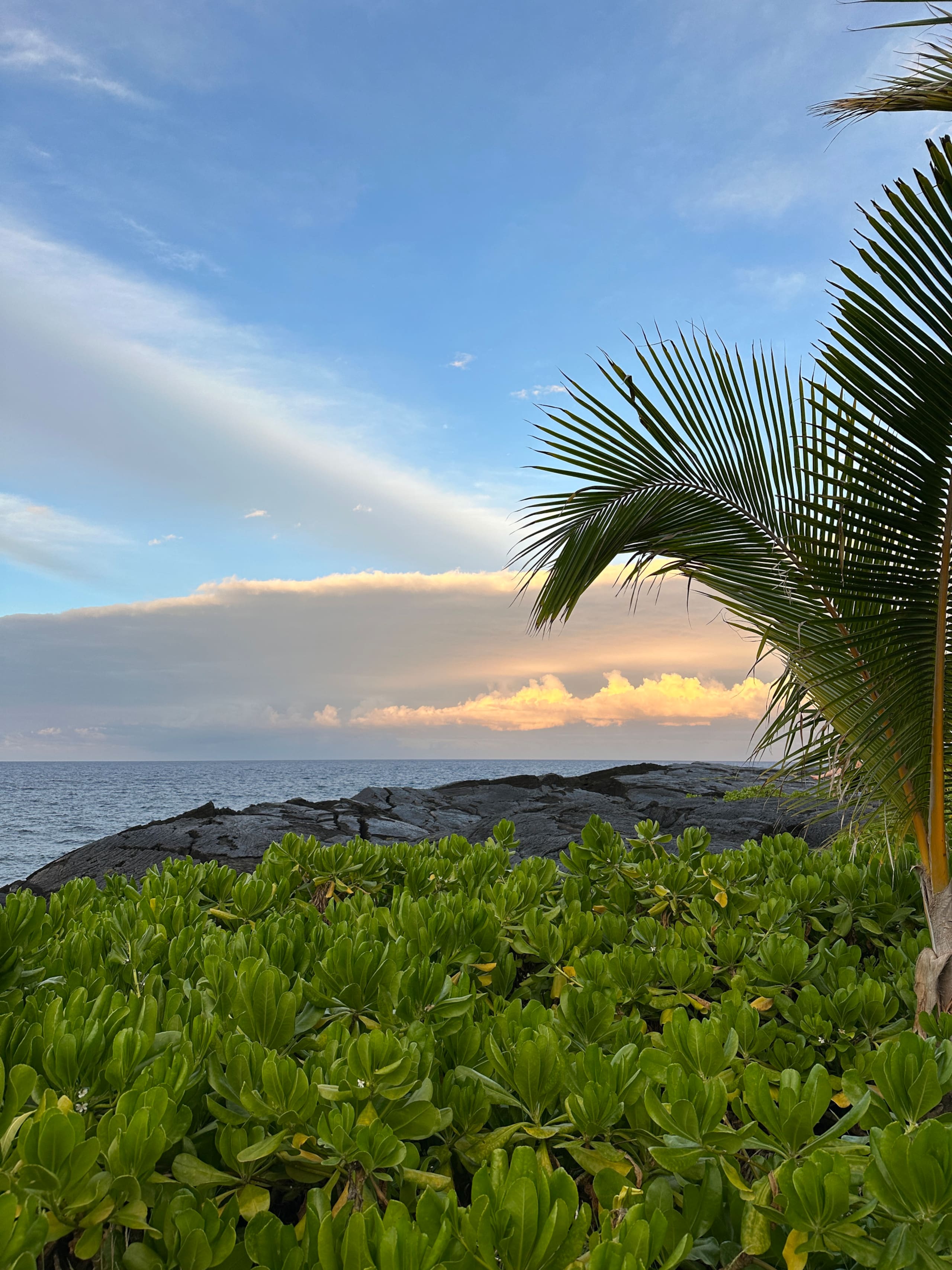 “Banana Cabana”Outdoor Shower, Private Lanai, Pool - Photo 101