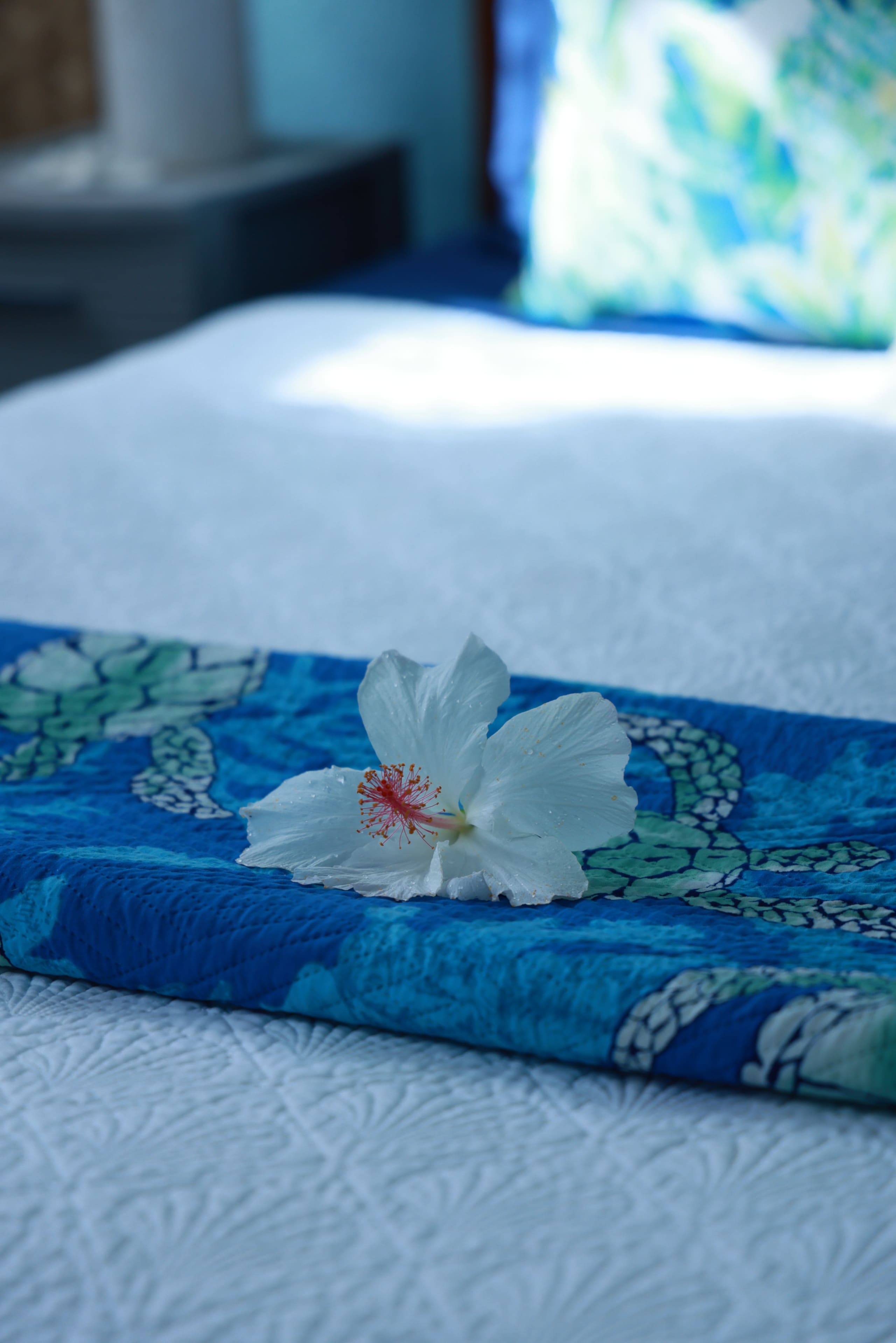 “Banana Cabana”Outdoor Shower, Private Lanai, Pool - Photo 16