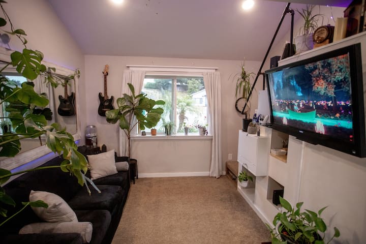 Cozy Plant-filled Loft In Orcutt - Santa Maria, CA