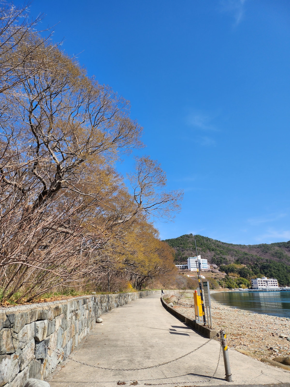 A serene pathway lined with bare trees extends along a rocky shoreline. Clear blue skies frame the scene, while a distant building can be seen amidst the surrounding hills. A stone wall and a chain guide visitors alongside the water's edge.