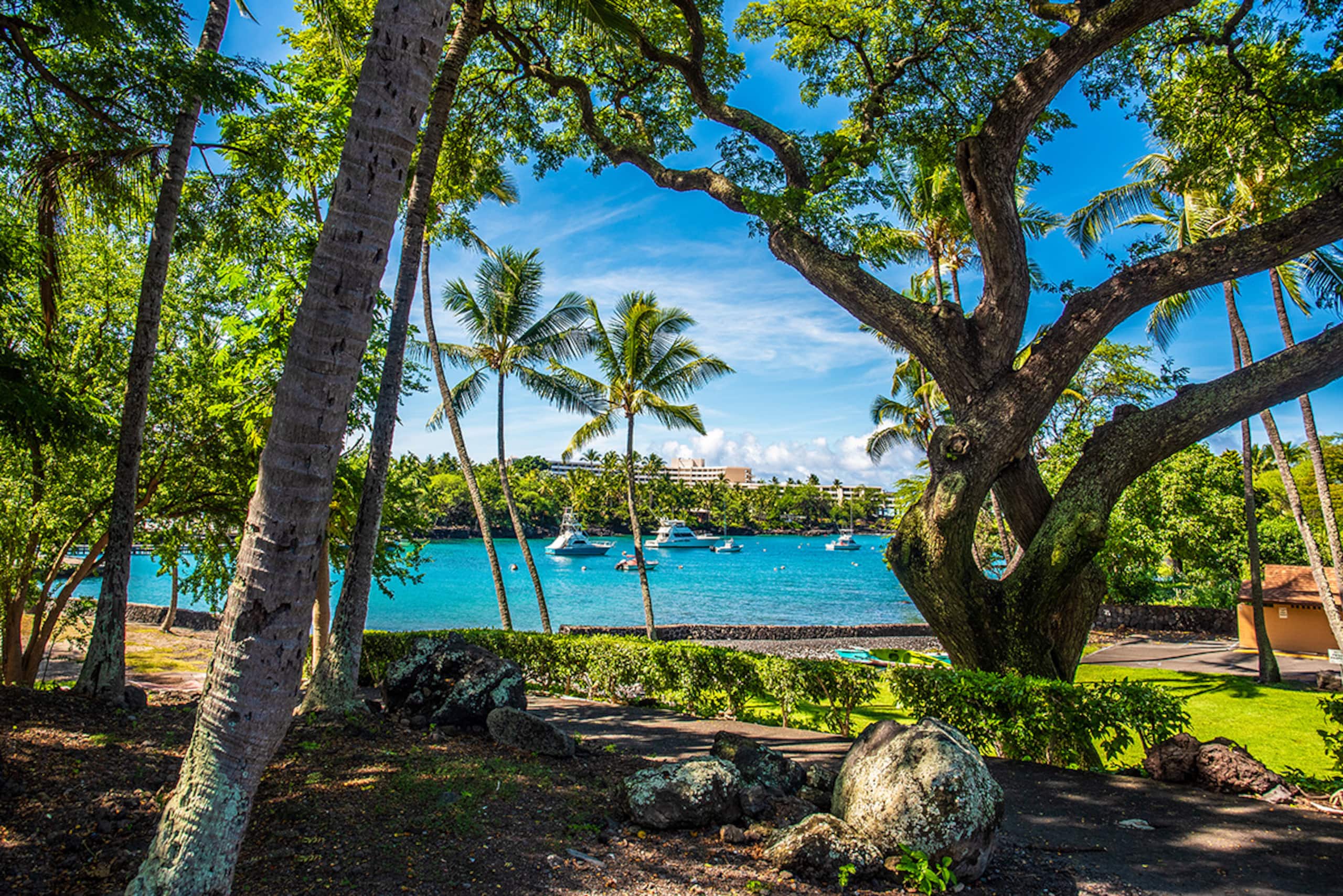 Home in Kailua-Kona · ★4.97 · 6 bedrooms · 12 beds · 5 baths - Image 140