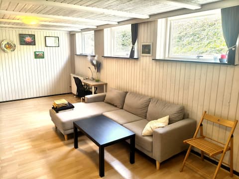 Successful Airbnb property: Bright basement apartment with 70m2 area in Ikast Brande