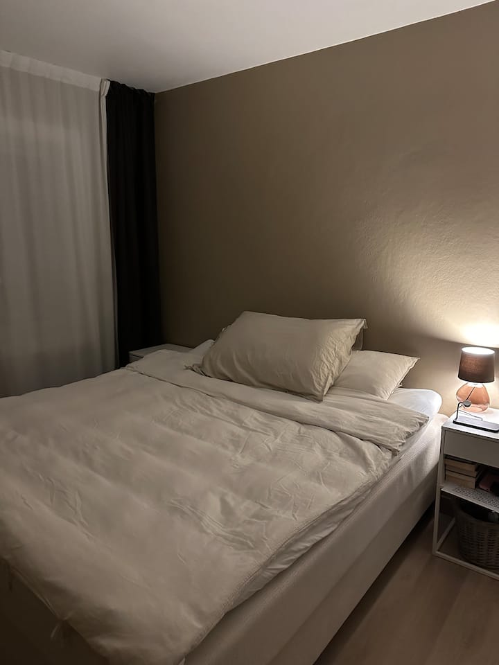 מיטה זוגית גדולה. מקום לשני אנשים. אפשרות לישון 4 אנשים (מזרן מתנפח בסלון)