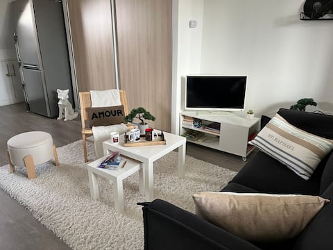 Propriété Airbnb réussie: T2 ideally located and fully equipped à Lille Centre