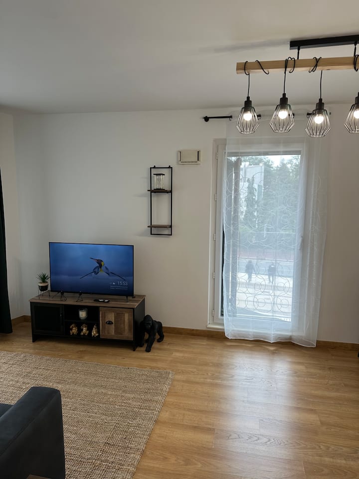Châtenay-malabry · T2 Cosy 45m² + Terrasse · T10 - ibis budget Orly Rungis