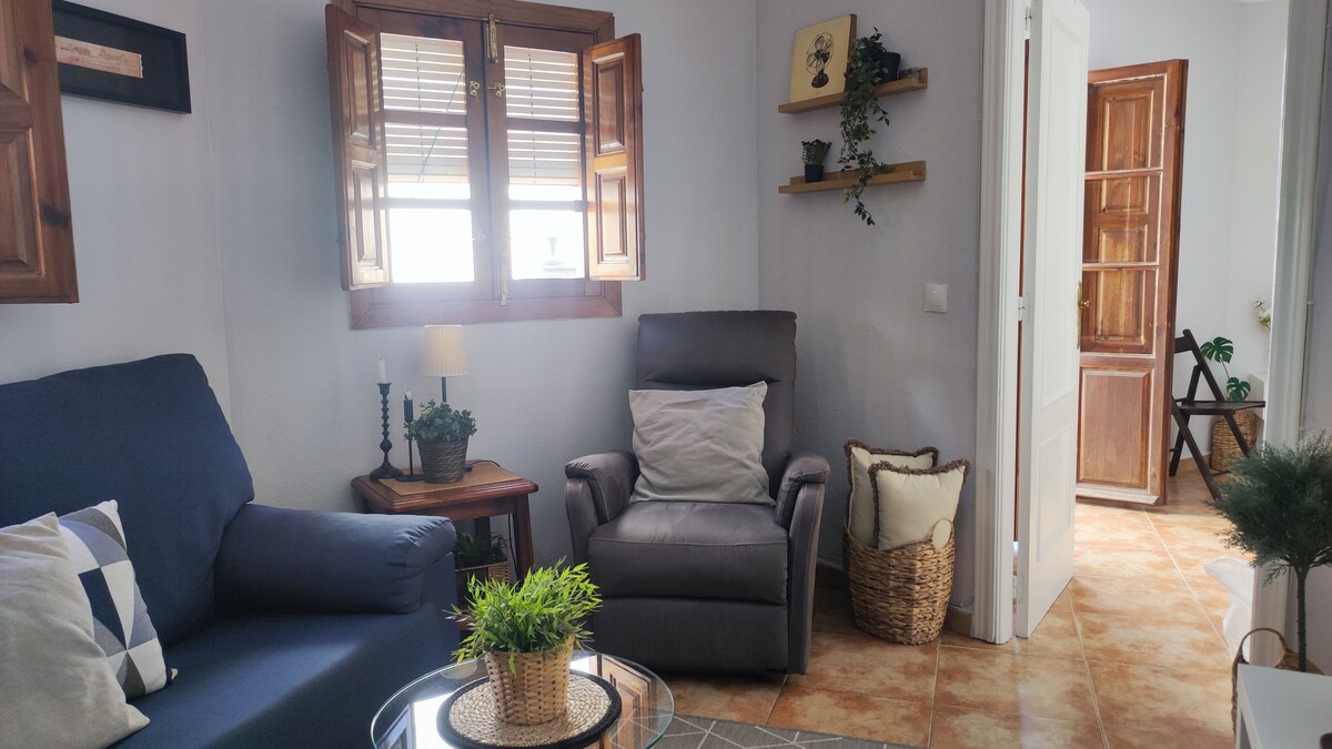 Successful Airbnb property: Albaicín at your feet! in Granada