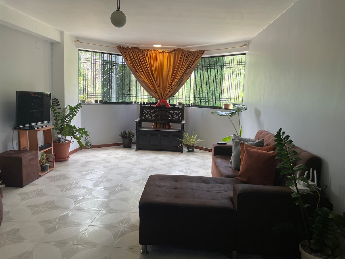 A comfortable living area features a sectional sofa and a decorative black cabinet. Green plants are positioned around the room, and natural light filters through large windows adorned with sheer curtains, creating a relaxed atmosphere. A television is mounted on a stand in one corner.