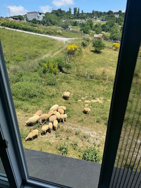 Successful Airbnb property: Lina Apart Hotel (1+1) in Arnavutköy