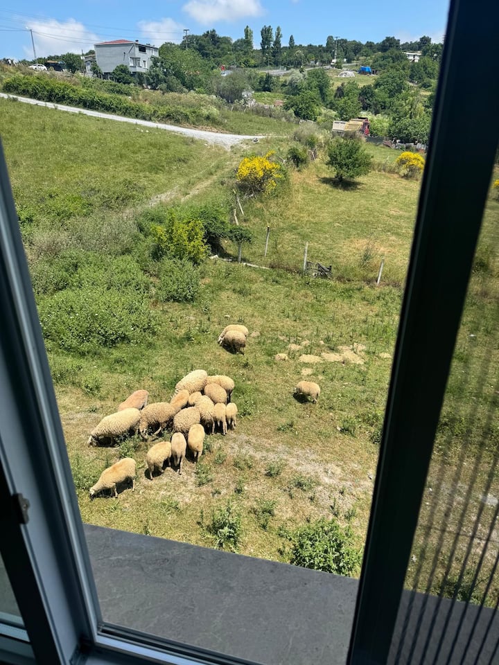 Lina Apart Hotel (1+1) - Aeropuerto de Istanbul (IST)