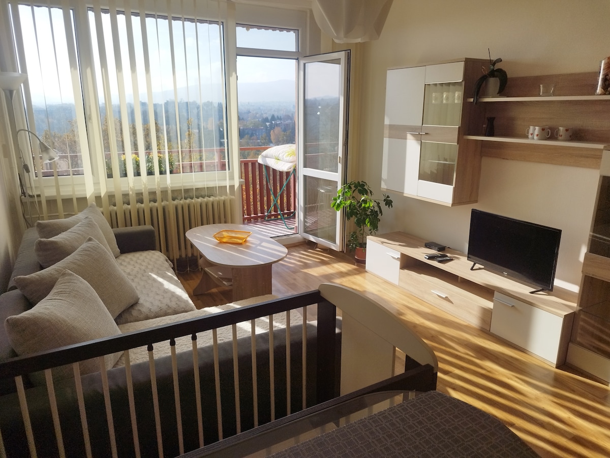 A light-filled living space features a comfortable sofa and a minimalist coffee table. Large windows offer expansive views of the surroundings. A television is positioned on a light wood stand, and greenery is provided by potted plants, enhancing the room's inviting ambiance.