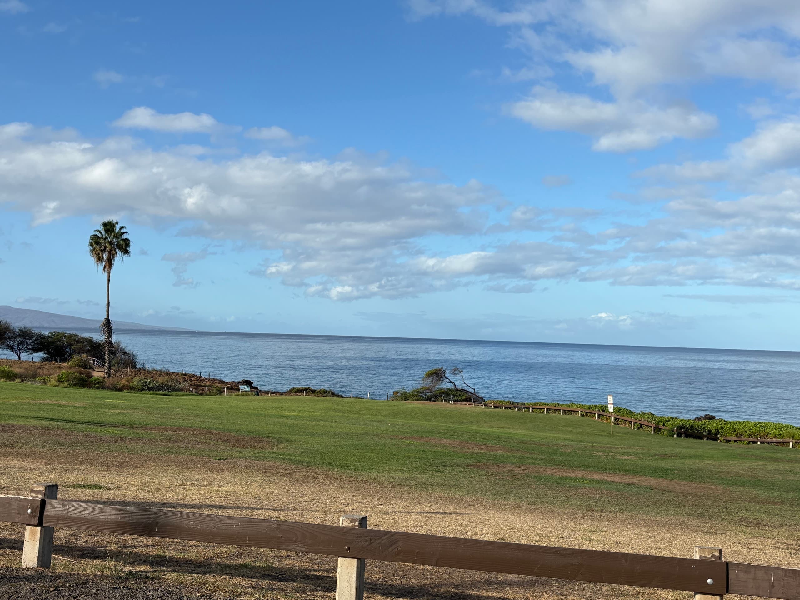 Condo in Kihei · ★4.93 · 1 bedroom · 2 beds · 1 private bath - Image 40