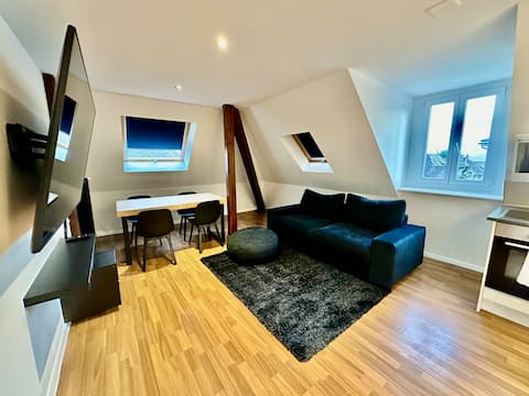 Cosy apartment in Lausanne
