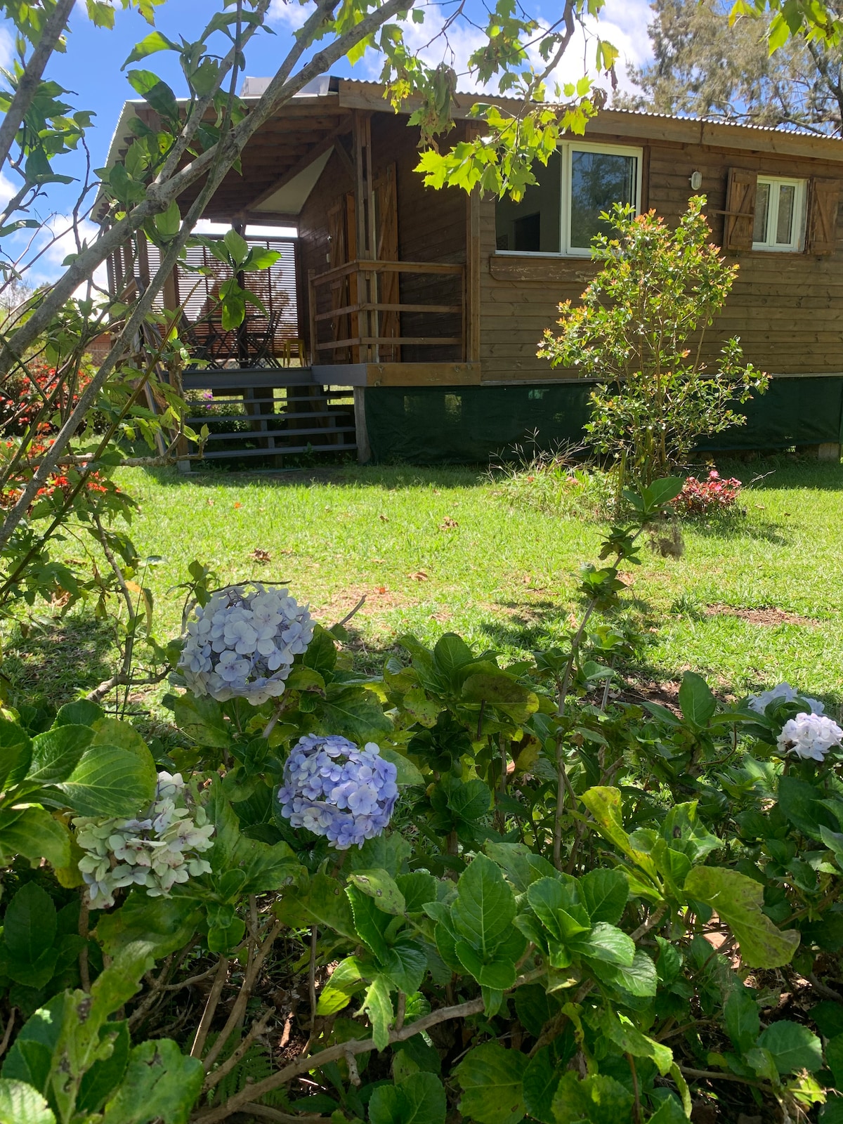 A cozy wooden cabin is visible set amidst a lush green lawn, framed by flowering hydrangeas in shades of blue and white. The structure features a covered porch with steps leading to the ground, accentuated by nearby shrubs and small flowering plants.