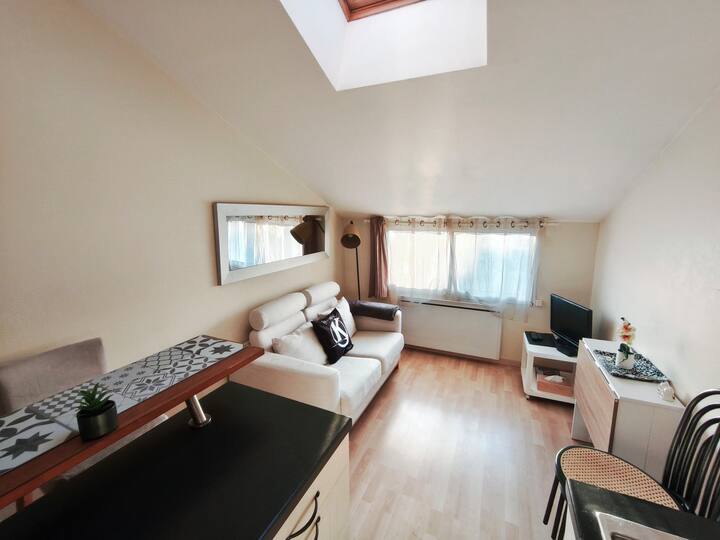 Appartement Atypique à 2 Pas Du Parc Asterix - Île-de-France
