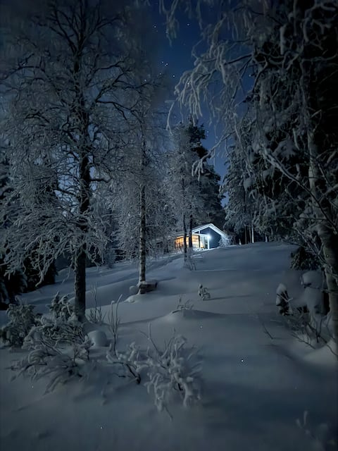 Villa Lumo wilderness cabin + beach sauna