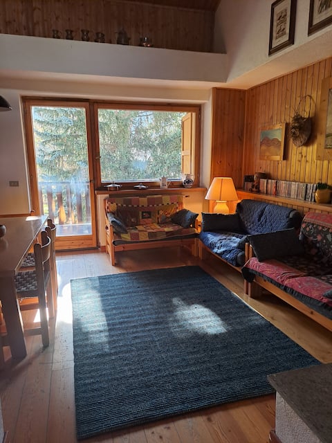 large, bright and cozy apartment