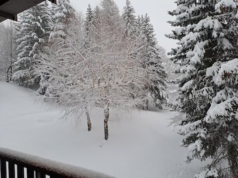 Airbnb con migliori performance: large, bright and cozy apartment a La Thuile