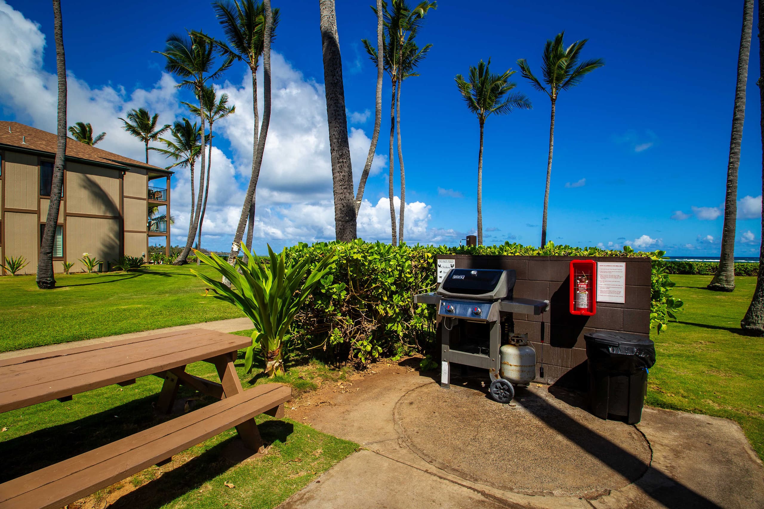 Condo in Kapaa · ★4.86 · 1 bedroom · 1 bed · 1 shared bath - Image 38