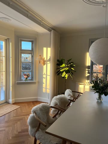 Beautiful villa near city center