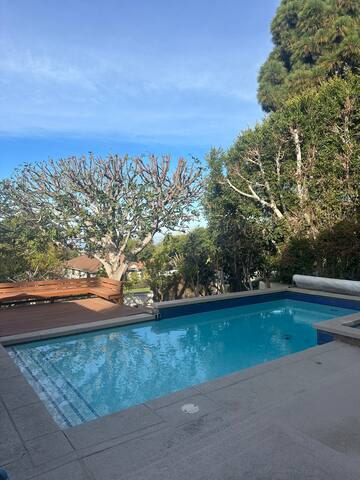 4300 ft.² Palos Verdes Haven-OCEAN VIEWS gallery image 4