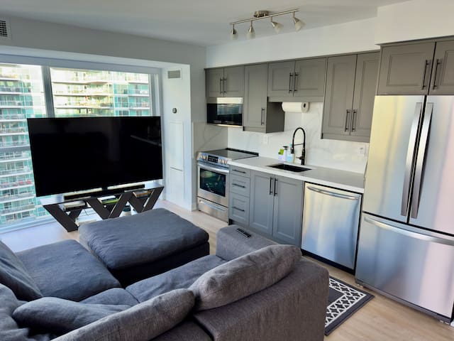 Modern 2bd 1bth condo in downtown