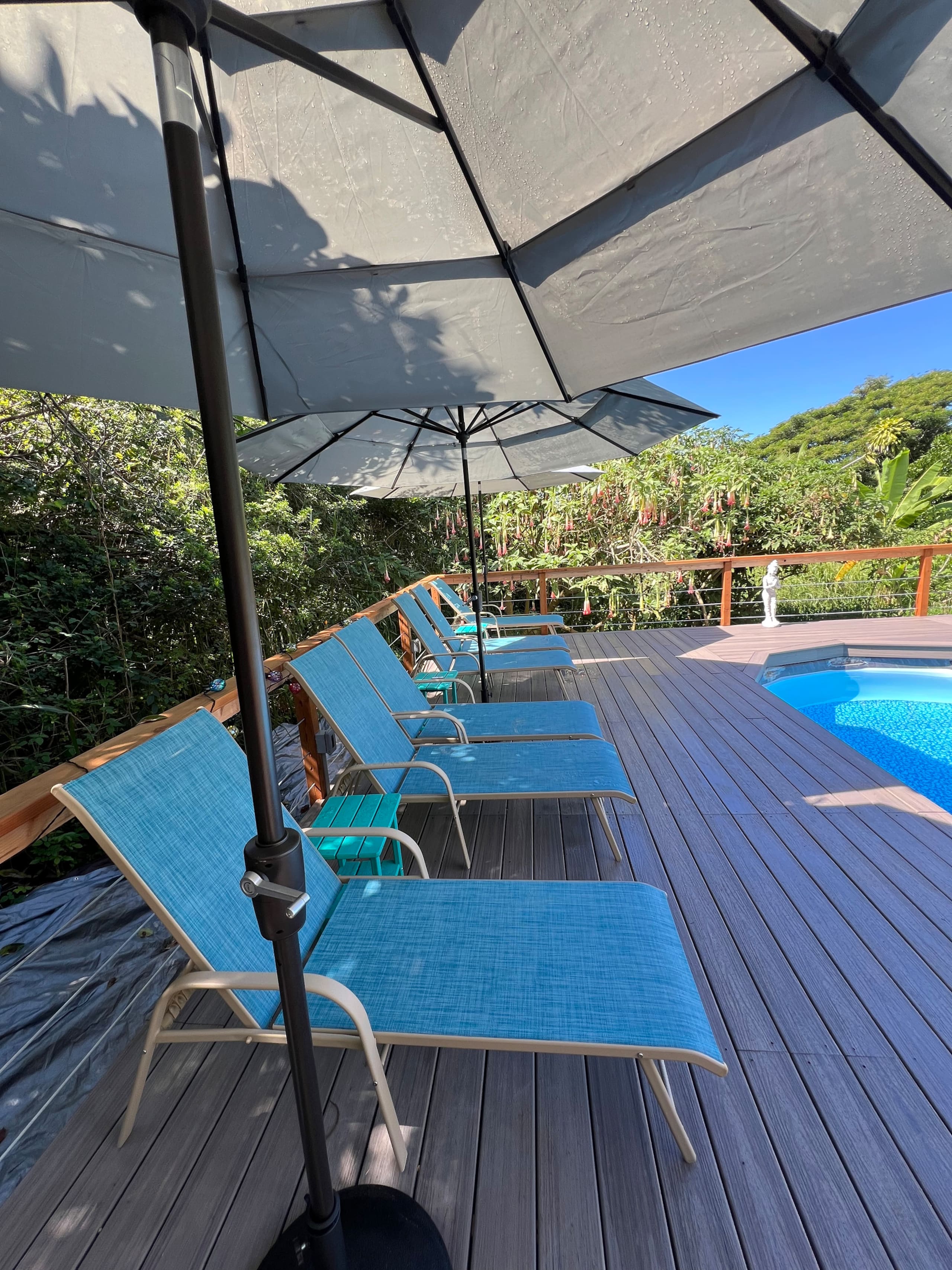 Cabin in Kealakekua · ★5.0 · 2 bedrooms · 2 beds · 2 private baths - Image 18