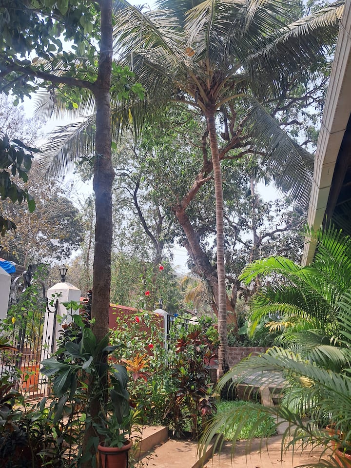 Garden 2 image 1