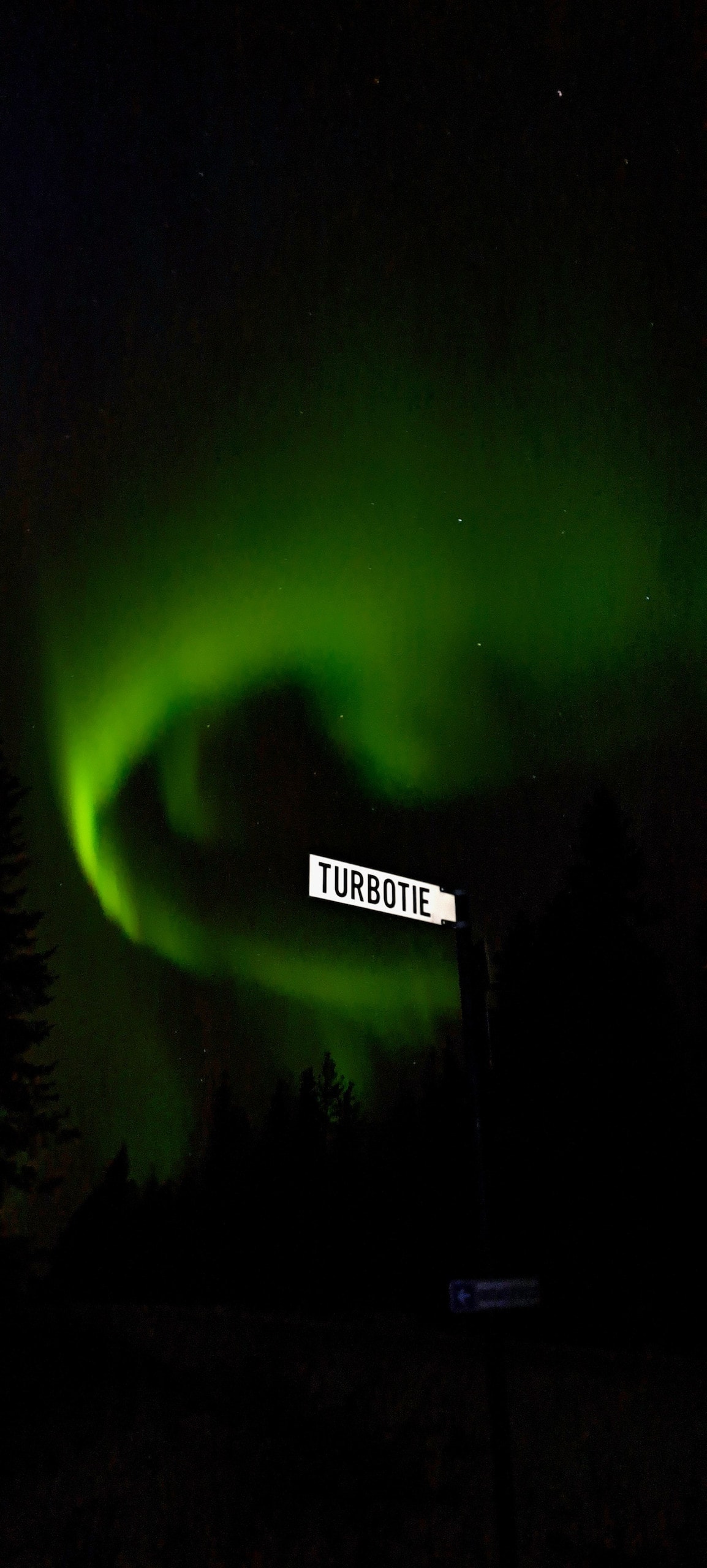 The image captures the enchanting display of the northern lights, with vibrant green hues dancing across the night sky. A sign reading 'Turbotie' is illuminated at the forefront, surrounded by dark silhouettes of trees, creating a serene nighttime scene.